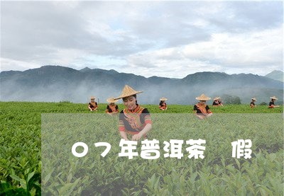 07年普洱茶 假/2023041037593